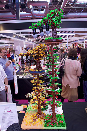 Best in Show Gregoire Goel