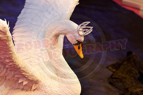 Cake International November 2016 NEC Birmingham
