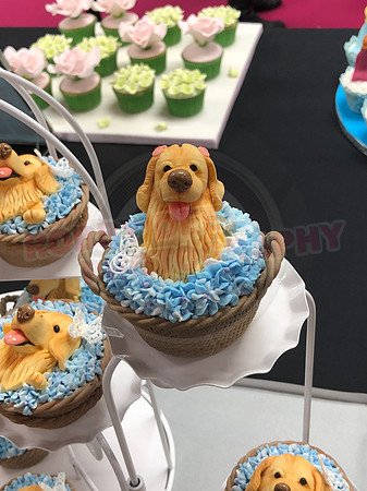 Cupcake Entries