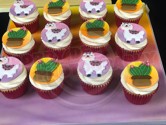 Cupcake Entries