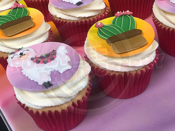 Cupcake Entries
