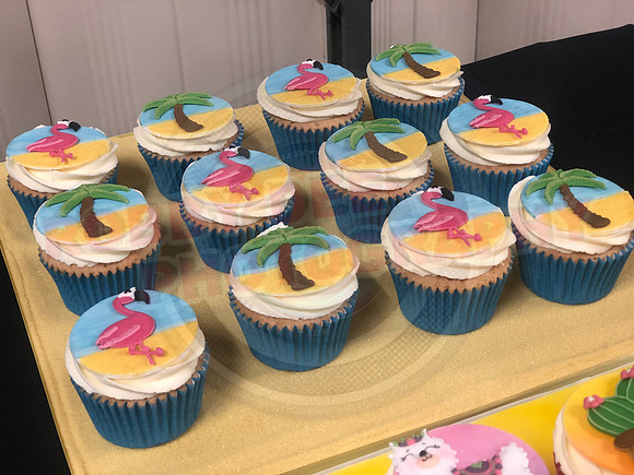 Cupcake Entries