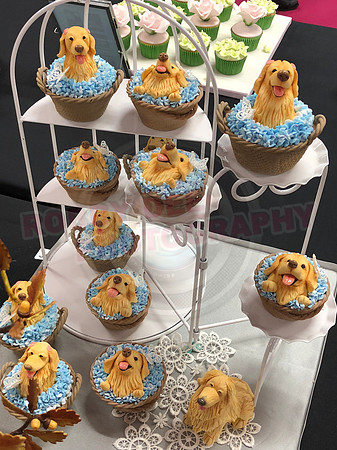 Cupcake Entries