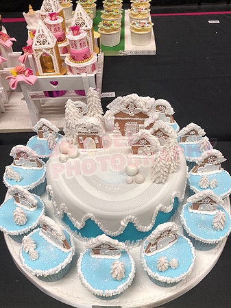 Cupcake Entries
