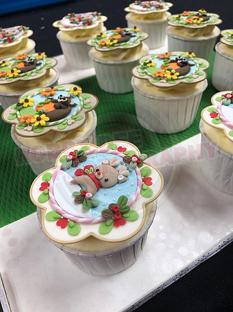 Cupcake Entries