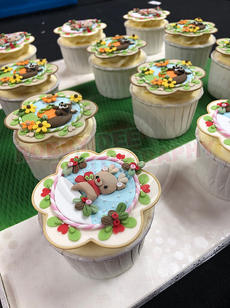 Cupcake Entries