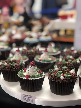 Cupcake Entries