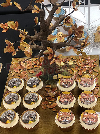 Cupcake Entries