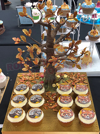 Cupcake Entries