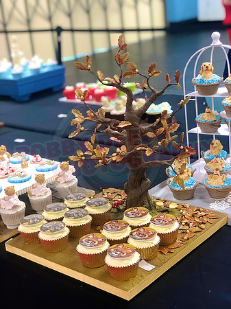 Cupcake Entries
