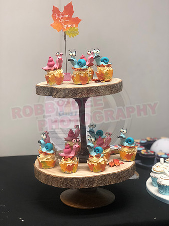 Cupcake Entries