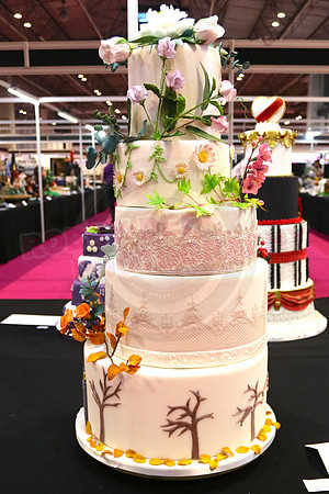 Cake International Wedding Cake Entries