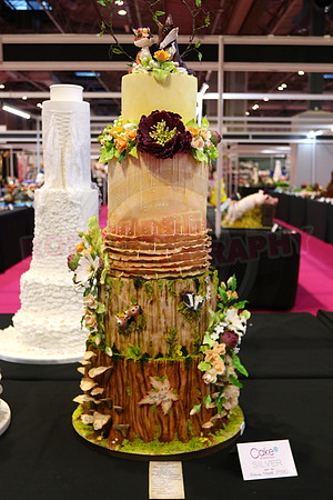 Cake International Wedding Cake Entries
