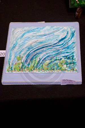 Class Q: Embossed Plaque
