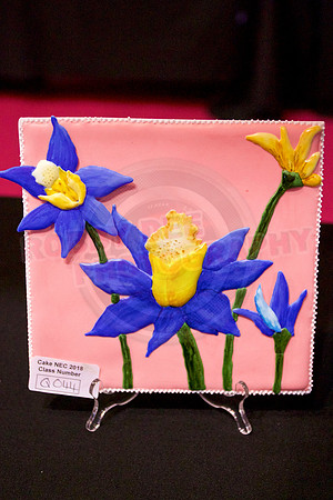 Class Q: Embossed Plaque