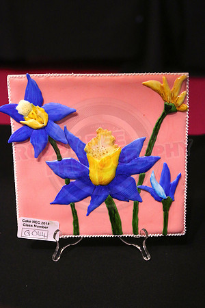 Class Q: Embossed Plaque