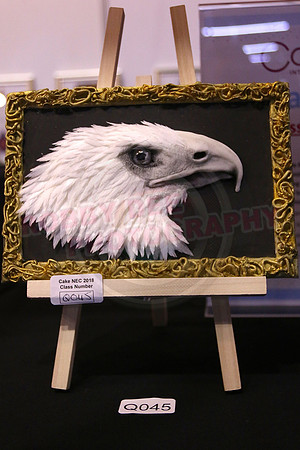 Class Q: Embossed Plaque