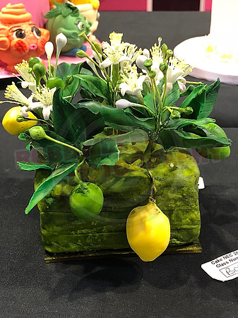 Class B: Floral Sugar Craft
