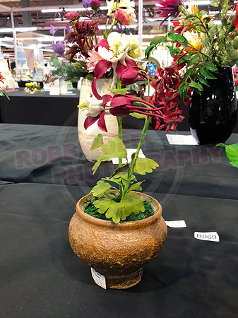 Class B: Floral Sugar Craft