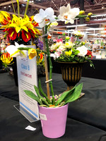 Class B: Floral Sugar Craft