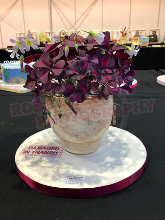 Class B: Floral Sugar Craft