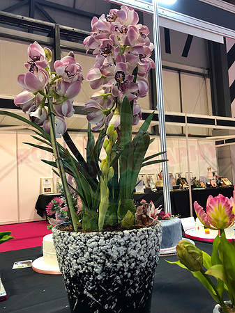 Class B: Floral Sugar Craft