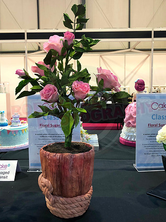 Class B: Floral Sugar Craft
