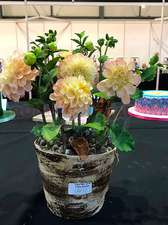 Class B: Floral Sugar Craft