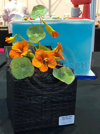 Class B: Floral Sugar Craft