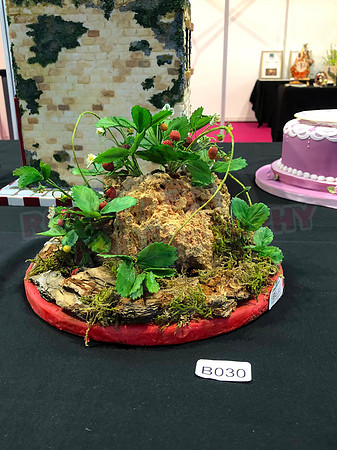 Class B: Floral Sugar Craft