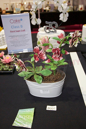 Class B: Floral Sugar Craft