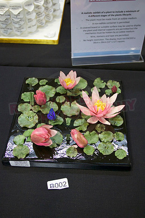 Class B: Floral Sugar Craft