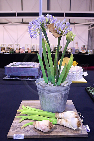 Class B: Floral Sugar Craft