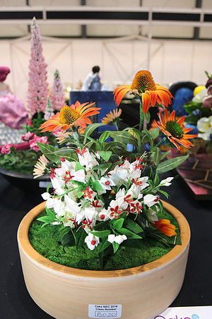 Class B: Floral Sugar Craft
