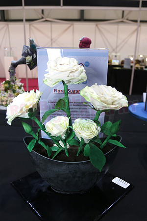 Class B: Floral Sugar Craft