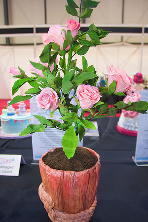 Class B: Floral Sugar Craft