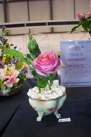 Class B: Floral Sugar Craft