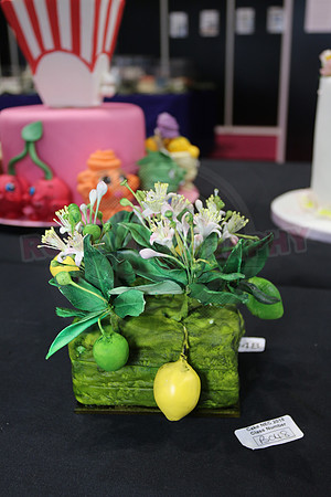 Class B: Floral Sugar Craft