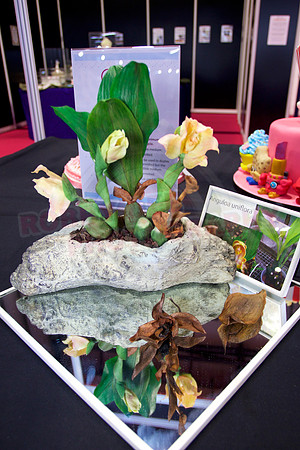 Class B: Floral Sugar Craft