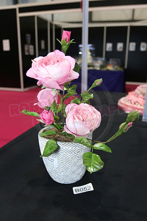 Class B: Floral Sugar Craft