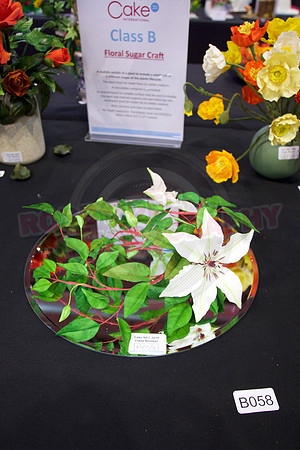 Class B: Floral Sugar Craft