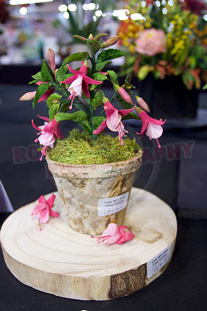 Class B: Floral Sugar Craft