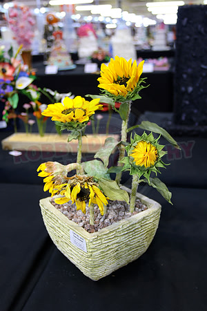 Class B: Floral Sugar Craft