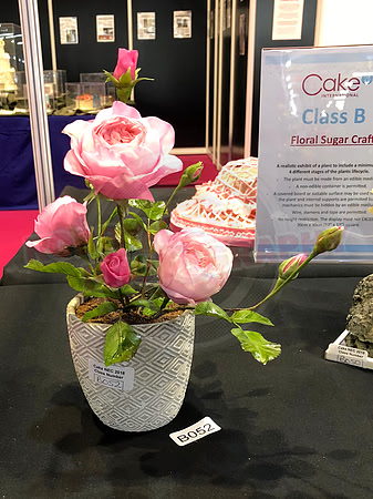 Class B: Floral Sugar Craft