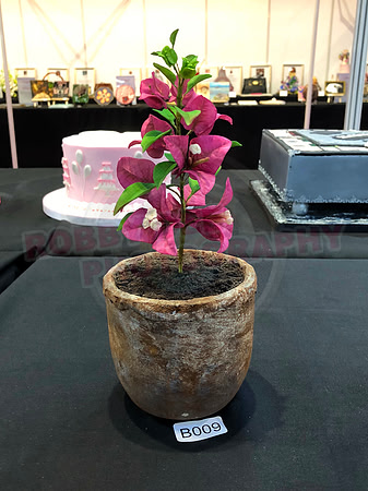Class B: Floral Sugar Craft
