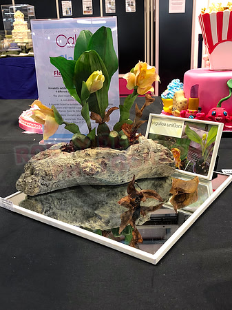 Class B: Floral Sugar Craft