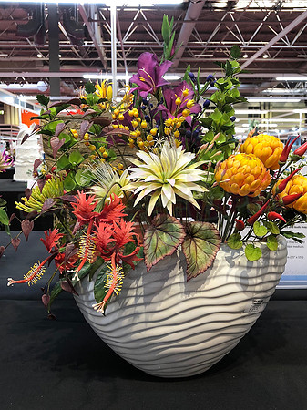 Class C: Floral Display – Firework Theme