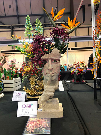 Class C: Floral Display – Firework Theme