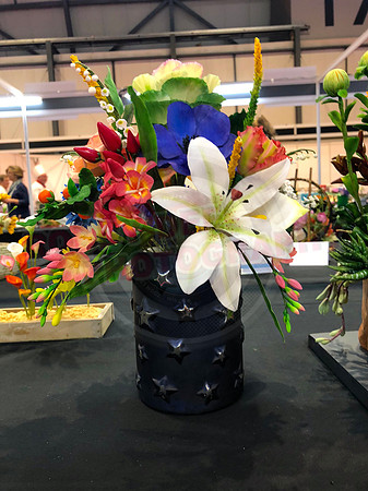Class C: Floral Display – Firework Theme