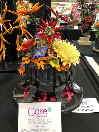 Class C: Floral Display – Firework Theme